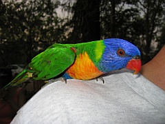 CairnsTC158 Granite Gorge